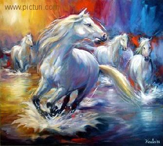 ionut sol - picturi, rauri, animale/pasari/pesti, pictura